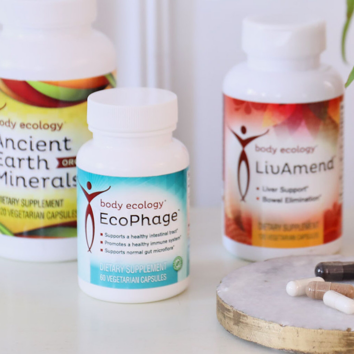 EcoPhage Microbiome Support