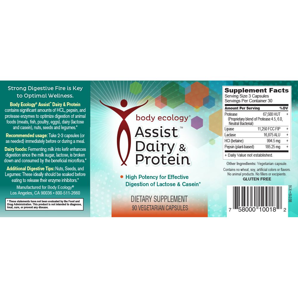 Assist Dairy & Protein