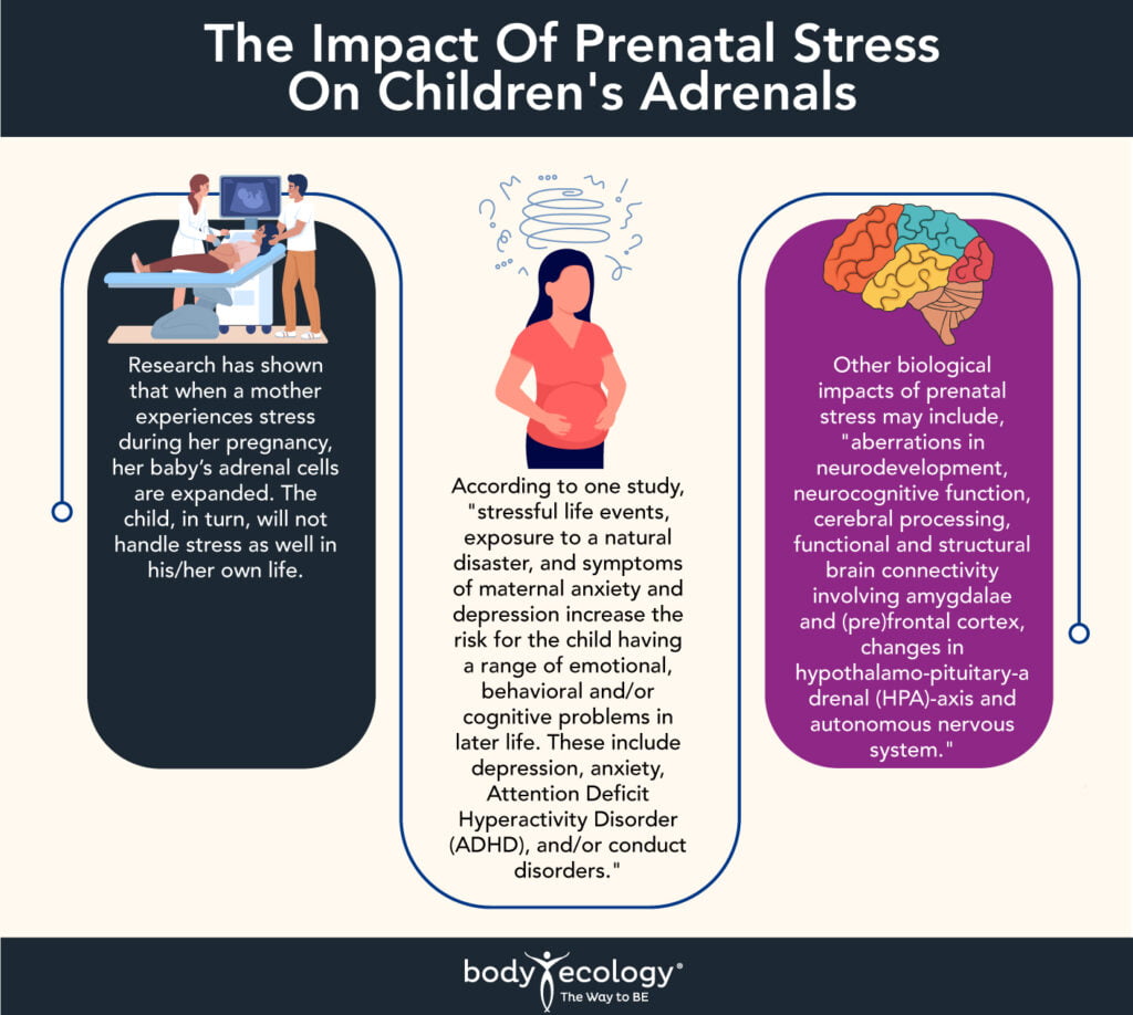 impact of prenatal stress