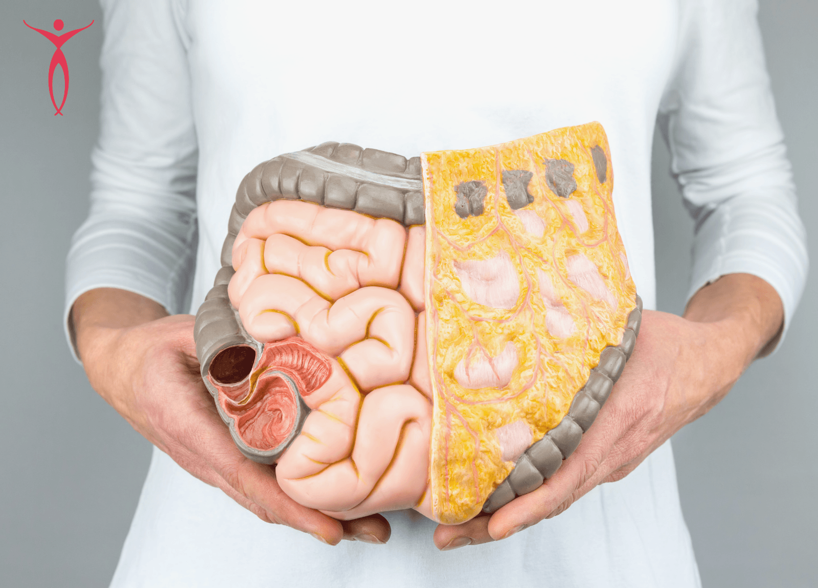 The 9 Signs of Good Colon Health (including an Easy Test You Can  Self-Administer)