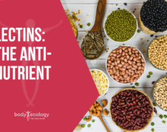 Lectins: The Anti-Nutrient