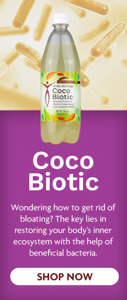 CocoBiotic Fermented Probiotic Drink