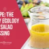 the body ecology diet salad dressing