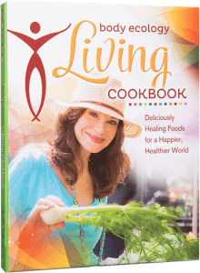 body ecology cookbook