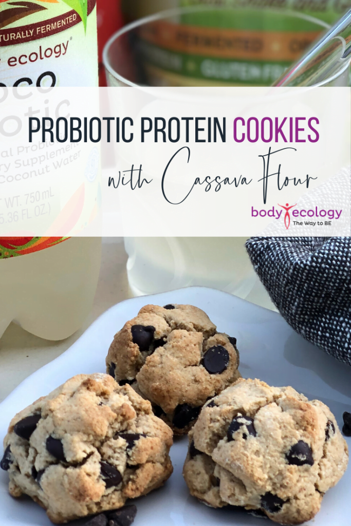 Probiotic protein pancakes, cookie recipe Gluten, sugar & dairyfree