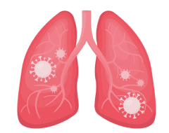 lung nutrients to stay healthy