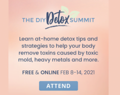 The DIY Detox Summit