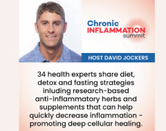 Dr. Jockers Chronic Inflammation Summit