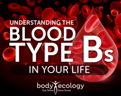blood type b diet
