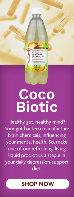 Cocobiotic Fermented Probiotic Drink