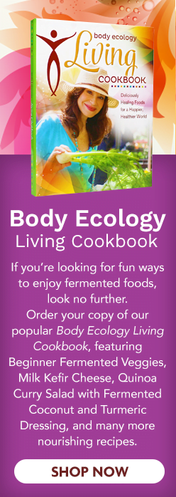 body ecology cookbook