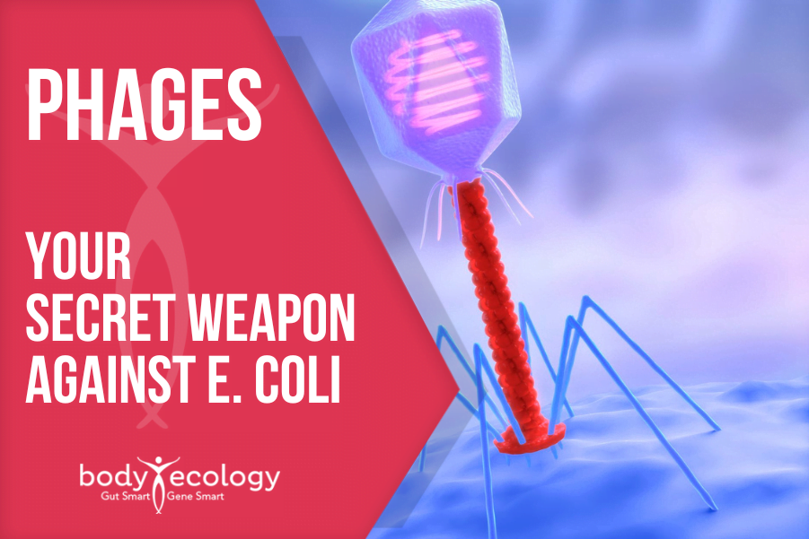 phages to prevent e coli