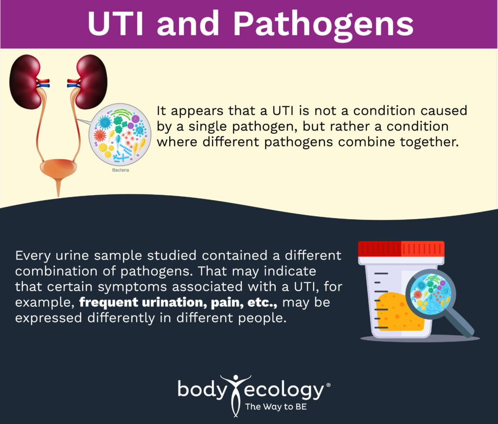 uti and pathogens