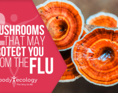 mushroom flu protection