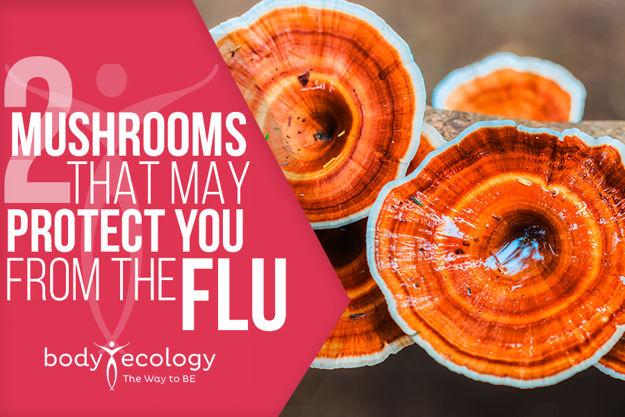 mushroom flu protection
