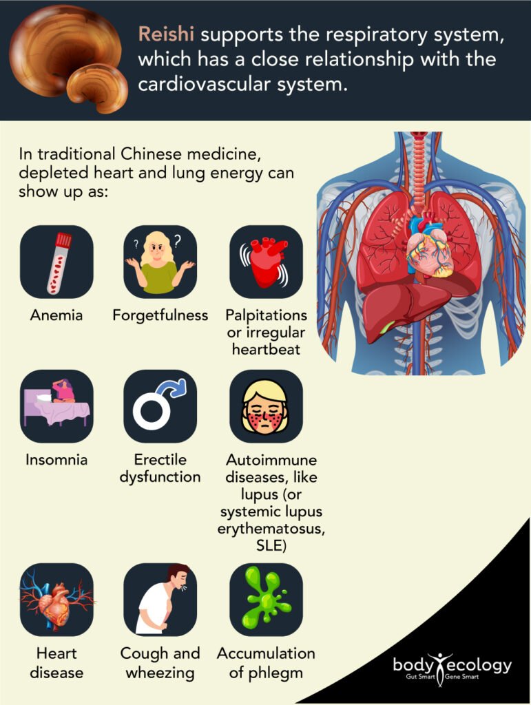 reishi respiratory symptoms
