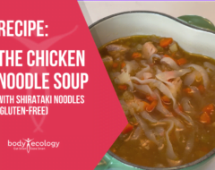 the chicken noodle soup recipe