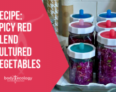 Spicy Red Blend Cultured Vegetable Recipe